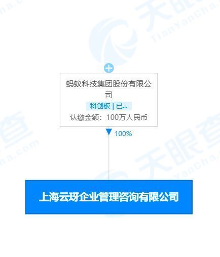 螞蟻集團在上海成立企管咨詢公司，拓展信息技術(shù)咨詢服務(wù)新領(lǐng)域