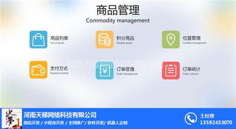 小程序開發 天梯網絡 陜西小程序開發