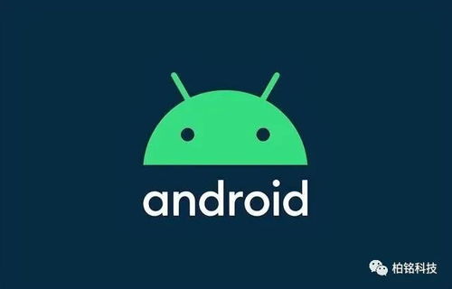 國產(chǎn)軟件的遮羞布 大部分基于開源軟件修改,甚至采用美國軟件