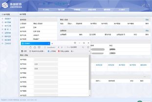 有沒有可以按照需求定做進(jìn)銷存軟件的