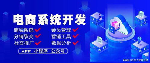 電商平臺系統(tǒng)開發(fā) 電商軟件定制方案