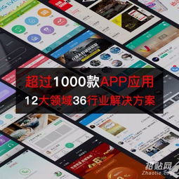 怎么選擇一家靠譜的軟件系統開發公司